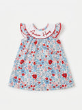 American honey embroidery dress